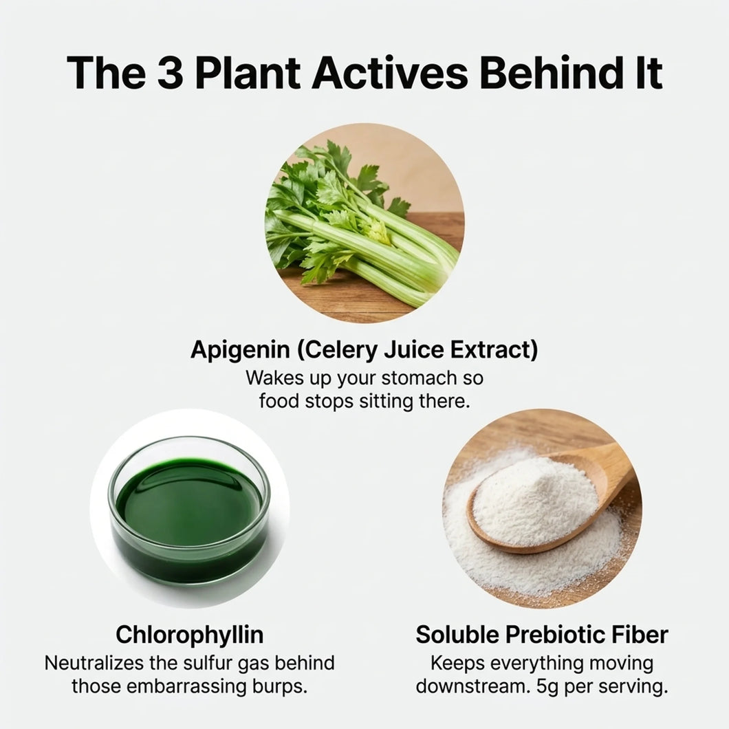 Motilli three-stage system — apigenin, chlorophyllin, prebiotic fiber